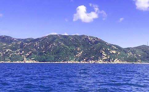 四年级作文大海的故事