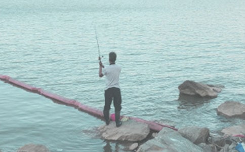 四年级钓鱼作文300字四篇