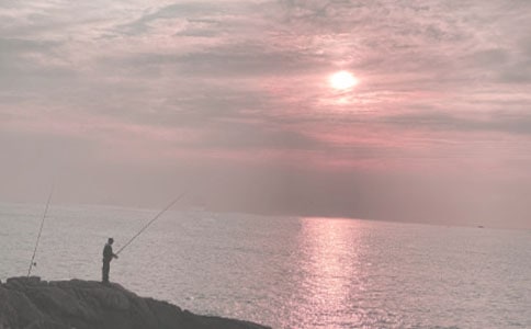 精选四年级钓鱼作文4篇