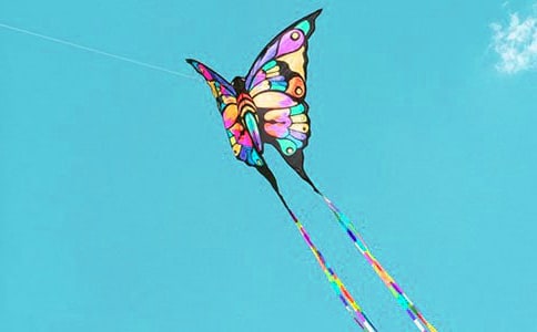 放风筝四年级作文