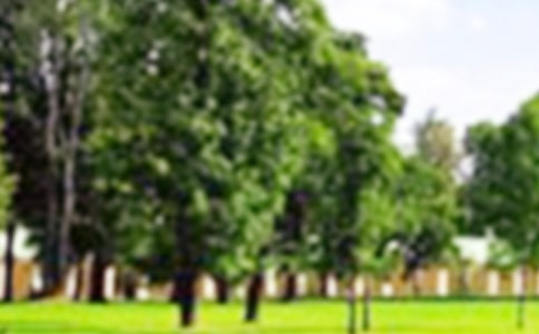 【精品】公园四年级作文集合七篇