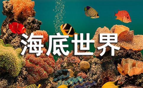 四年级海底世界作文4篇(经典)