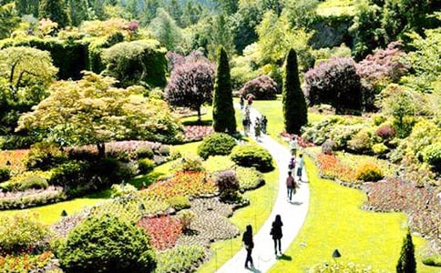 四年级游花园作文