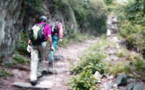 【推荐】爬山四年级作文集锦六篇