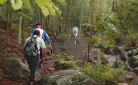 【必备】四年级爬山作文汇编10篇