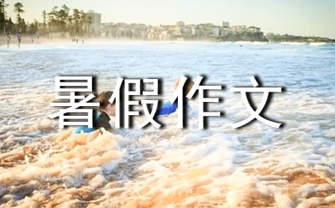 小学四年级暑假作文