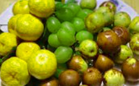 水果四年级作文