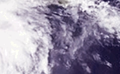 四年级作文台风来了