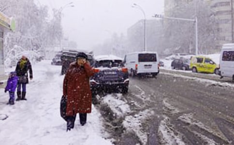 实用的下雪四年级作文六篇