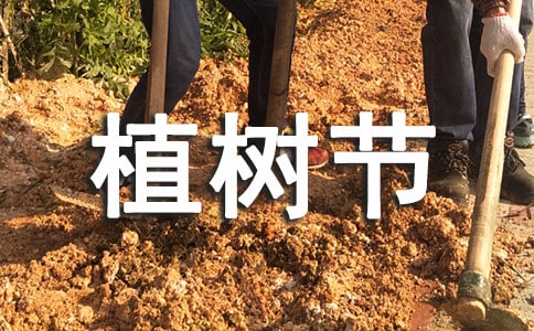 植树节四年级作文