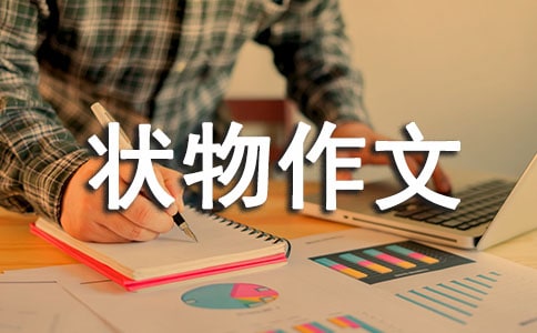 【热门】四年级状物作文四篇