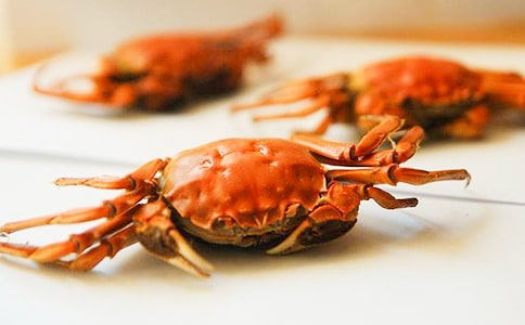  四年级螃蟹作文