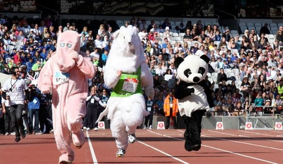 运动会四年级作文400字